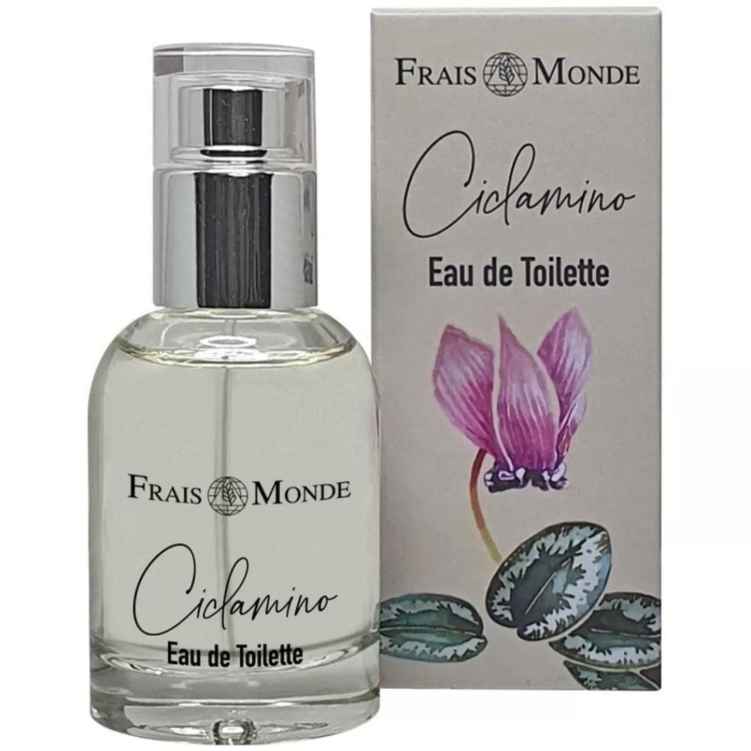 Ciclamino Mediterraneo>Frais Monde Store