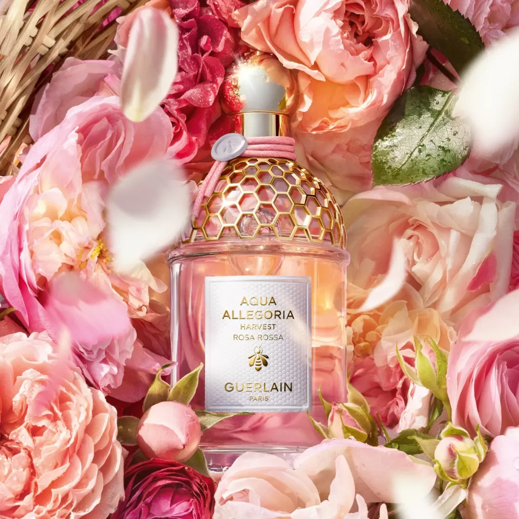 Guerlain Fragranze Unisex^ Aqua Allegoria Rosa Rossa Harvest